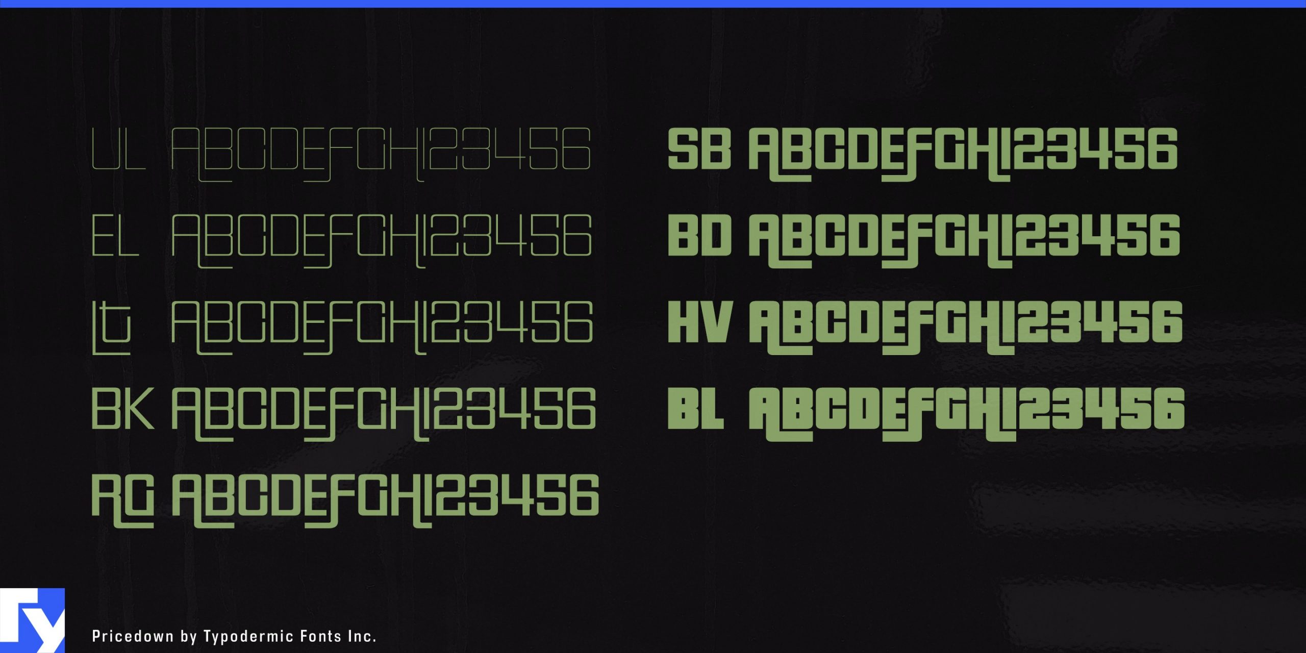 Versatile Attenuation: Unveiling the Range of Weights in Pricedown Font