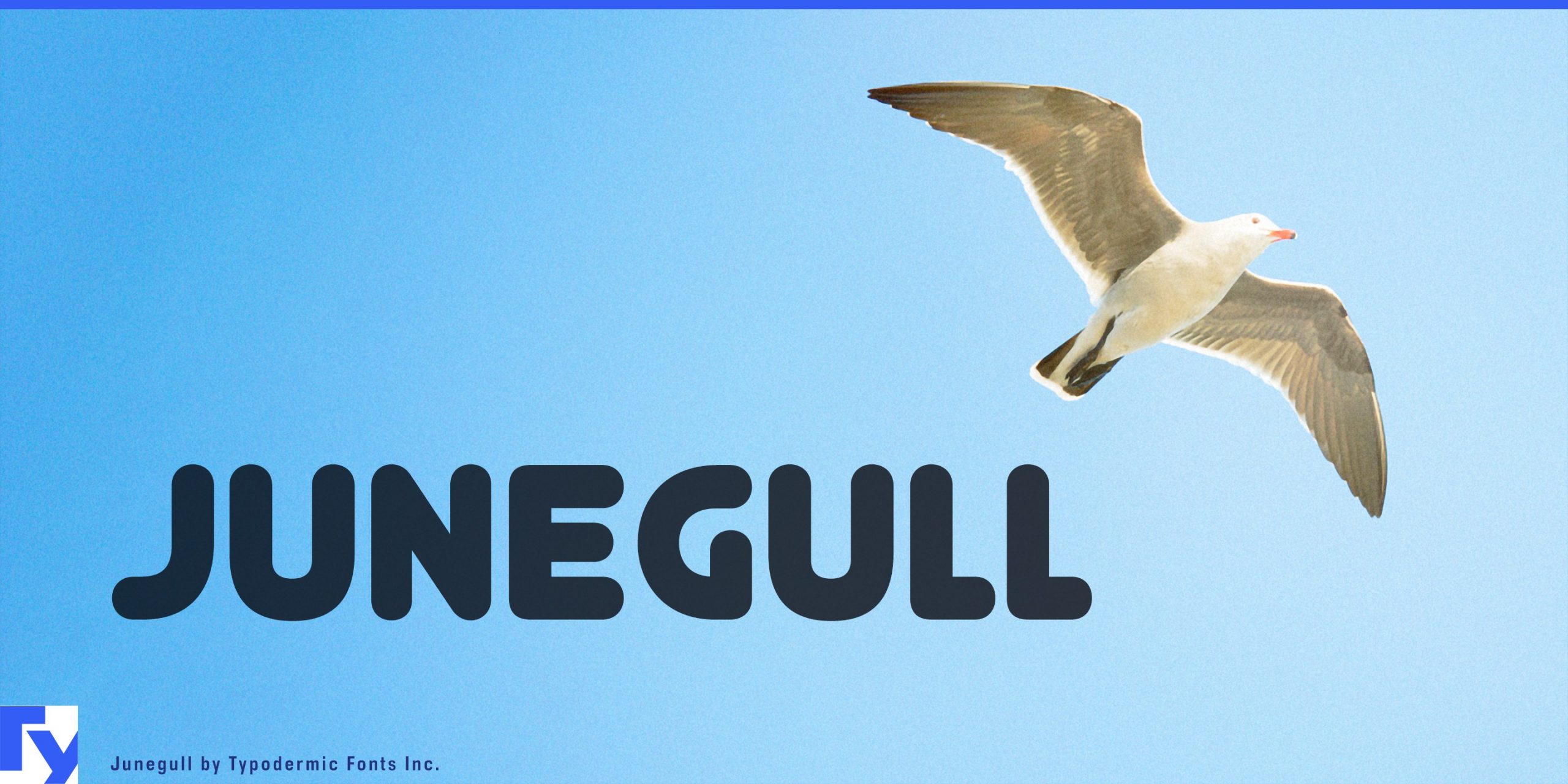 Breath of Fresh Air: Junegull Typeface Elevates Designs