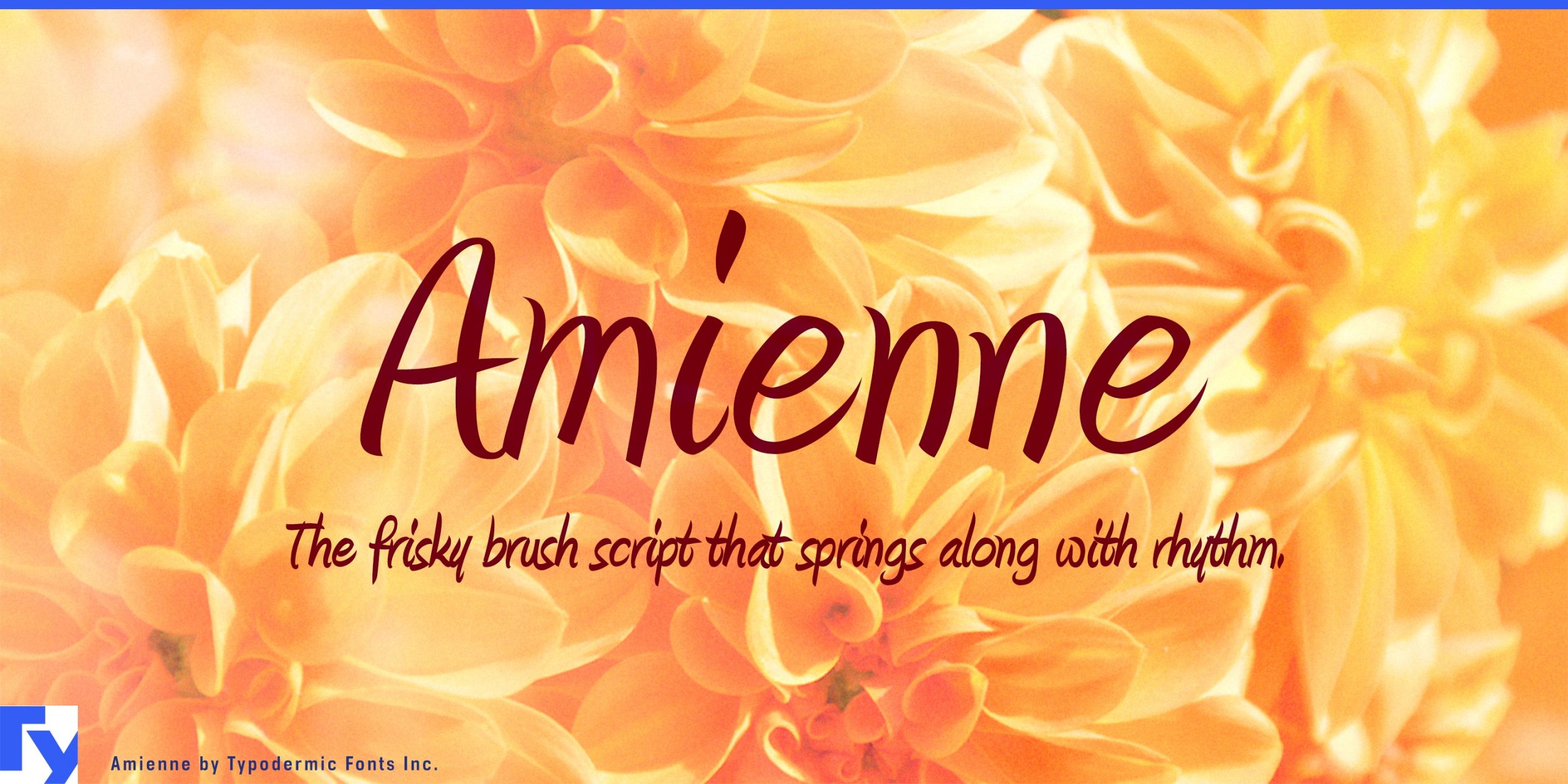 Amienne Typeface: Dance Across the Page with Whimsical Energy