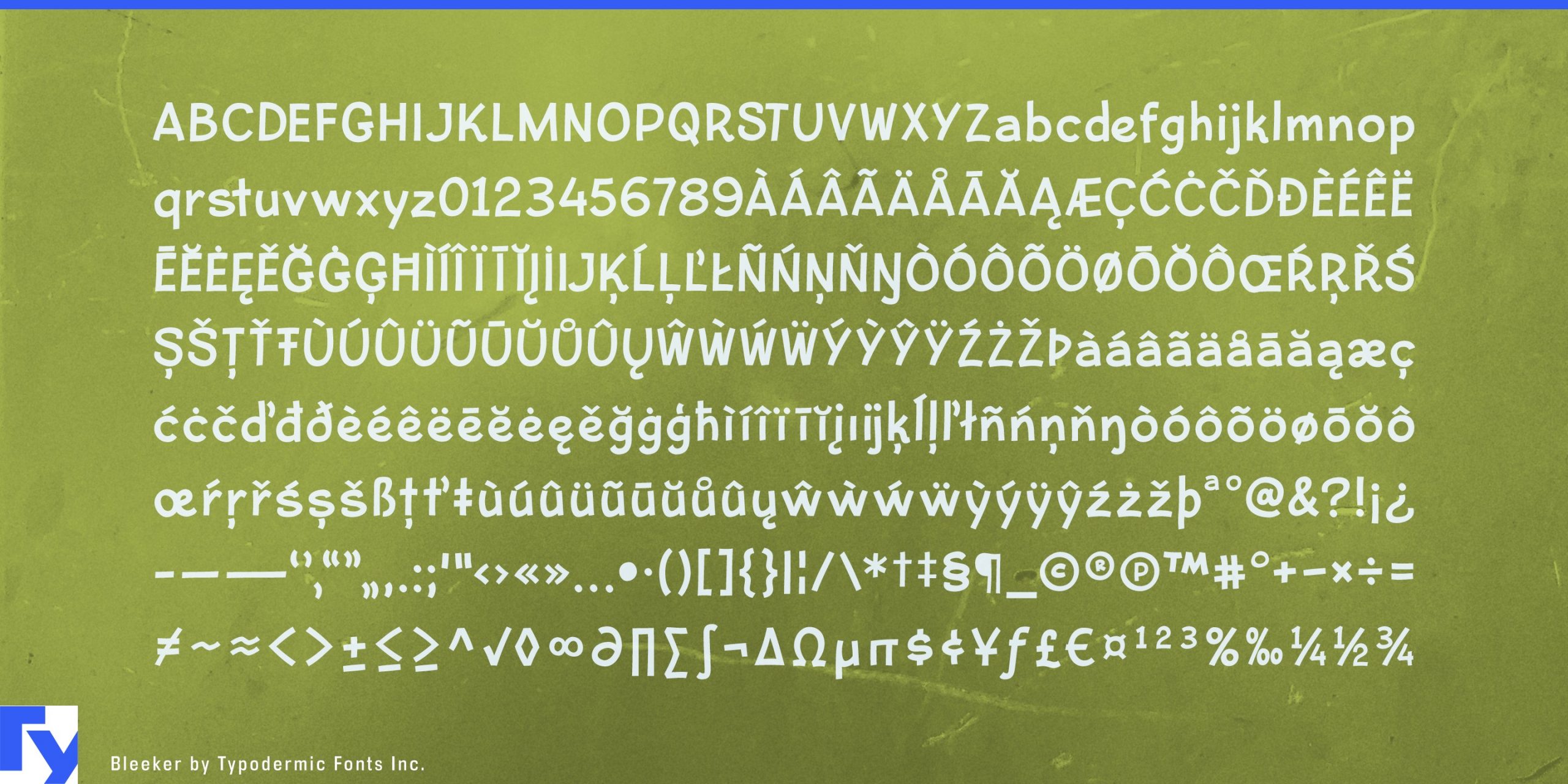 Custom Pairings, Natural Look: Explore Bleeker's Smart Typography