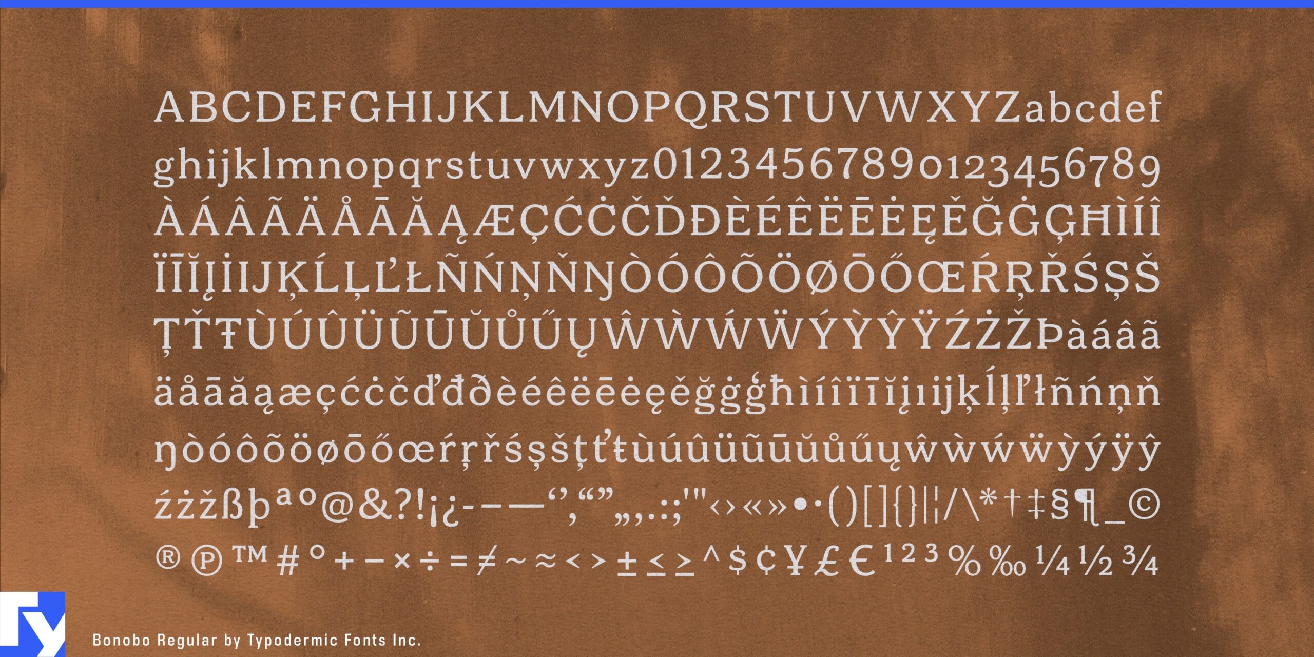 A Friendly Vibe with a Touch of Sophistication: Bonobo Typeface Shines