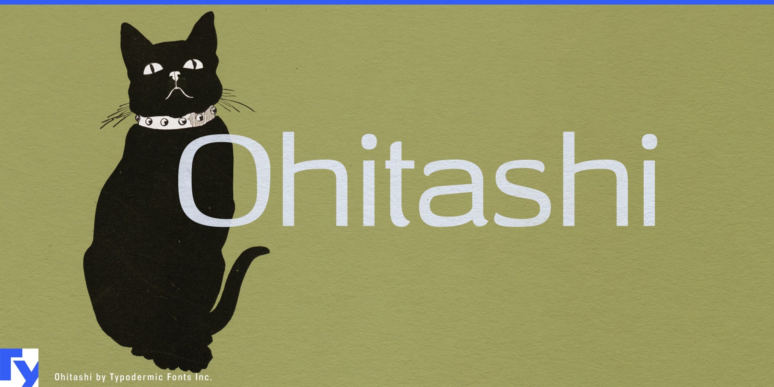 Incised Detail Brilliance: Ohitashi Typeface Shining Bright