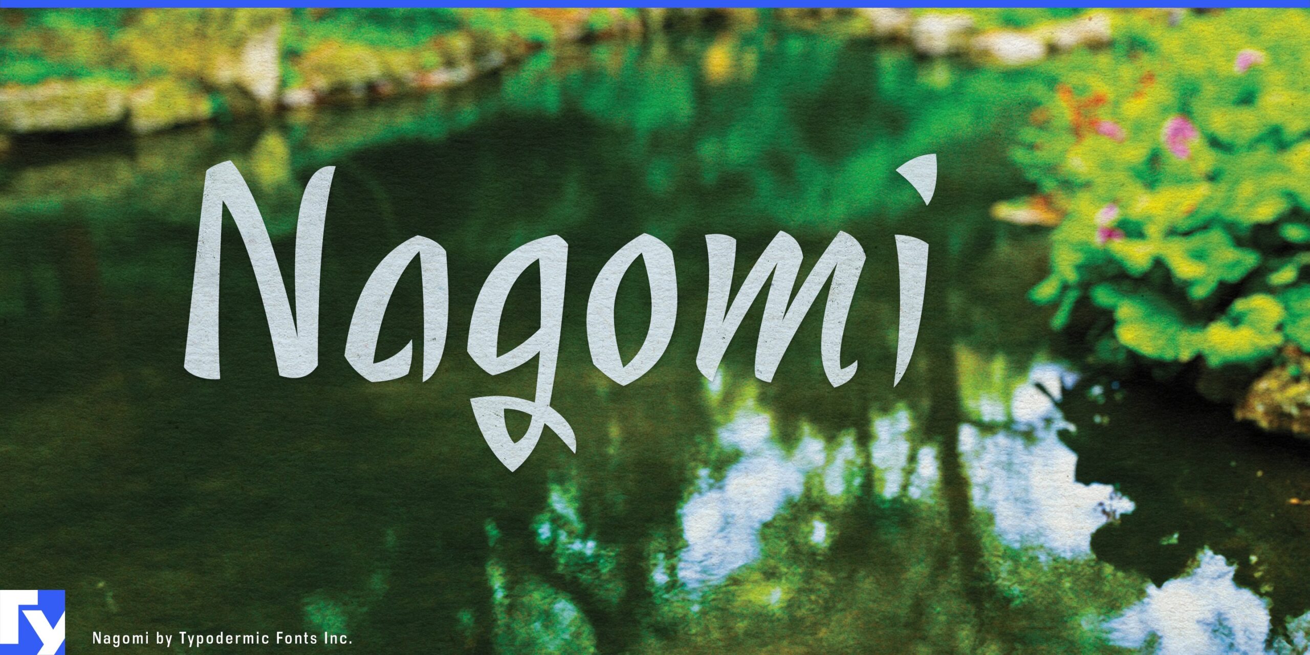 Dive into the Organic Feel of Nagomi Typeface