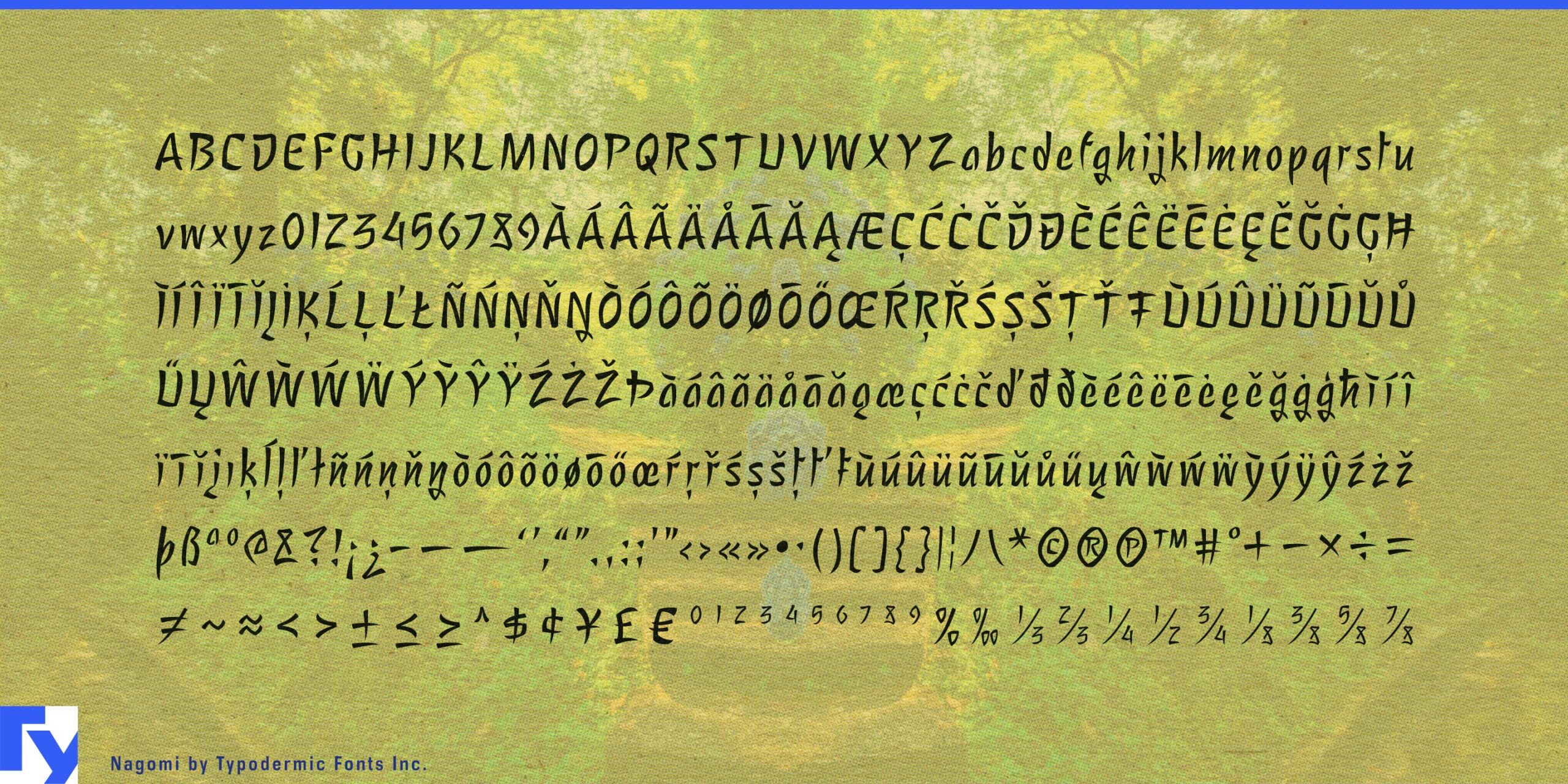 Serenity Unleashed: Nagomi Typeface Brings Tranquility to Designs