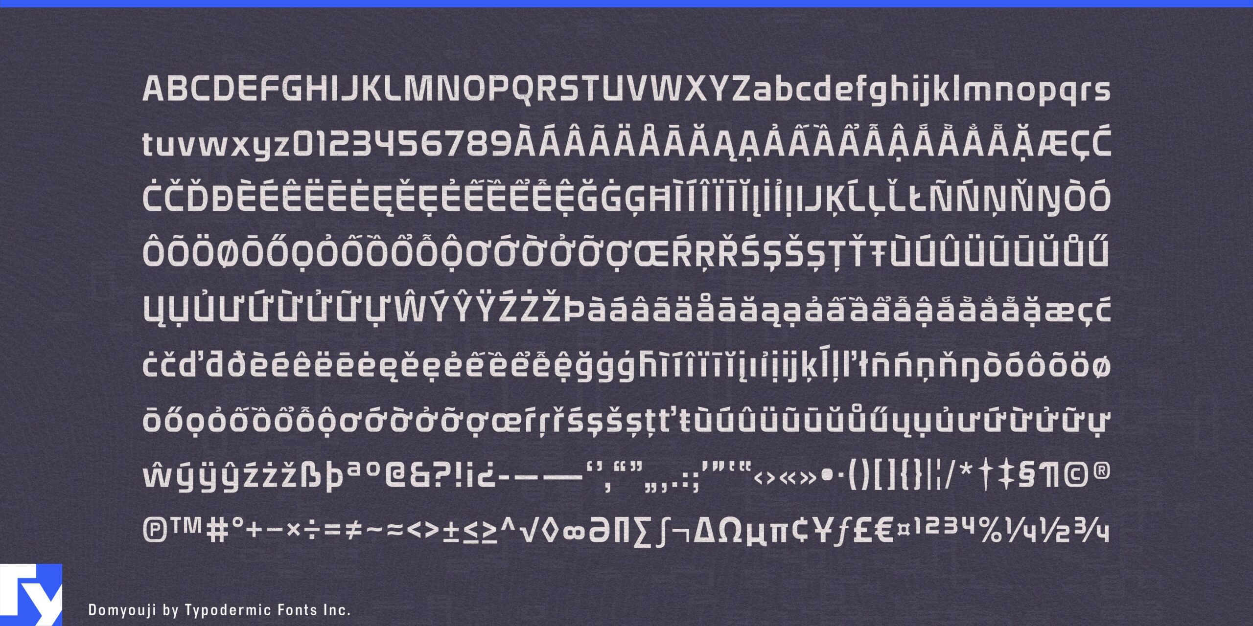 Precision and Accuracy Personified: Unveil Domyouji Typeface's Charm