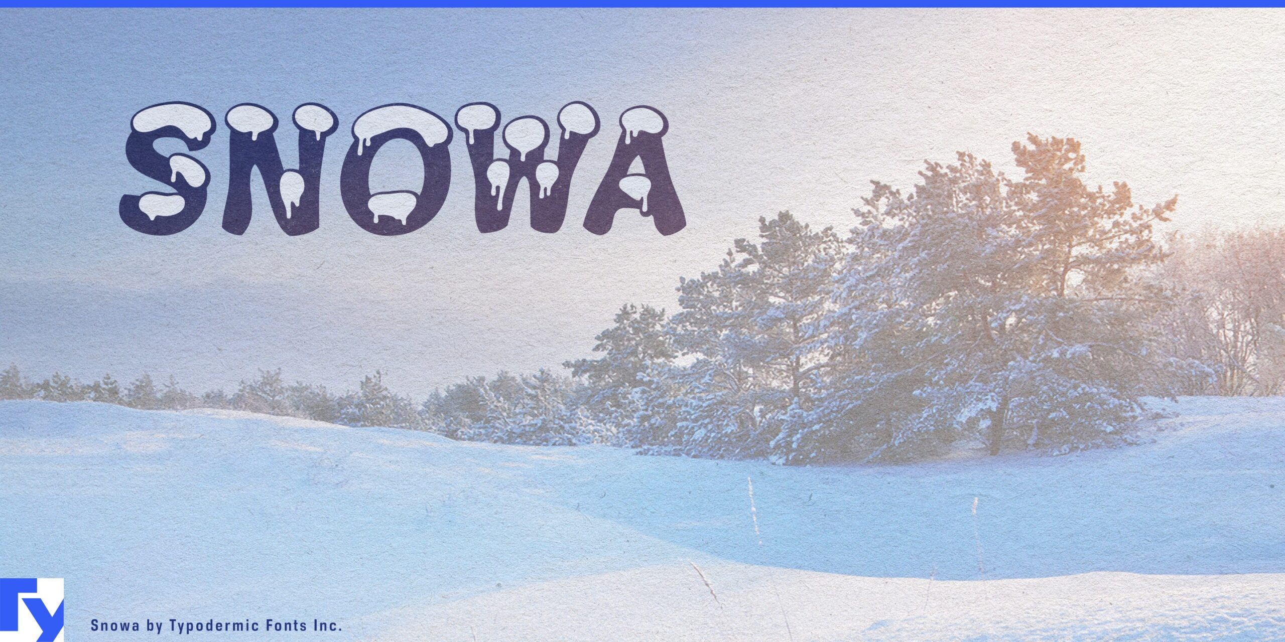 Make your text sparkle like freshly fallen snow with Snowa's shimmering letterforms.