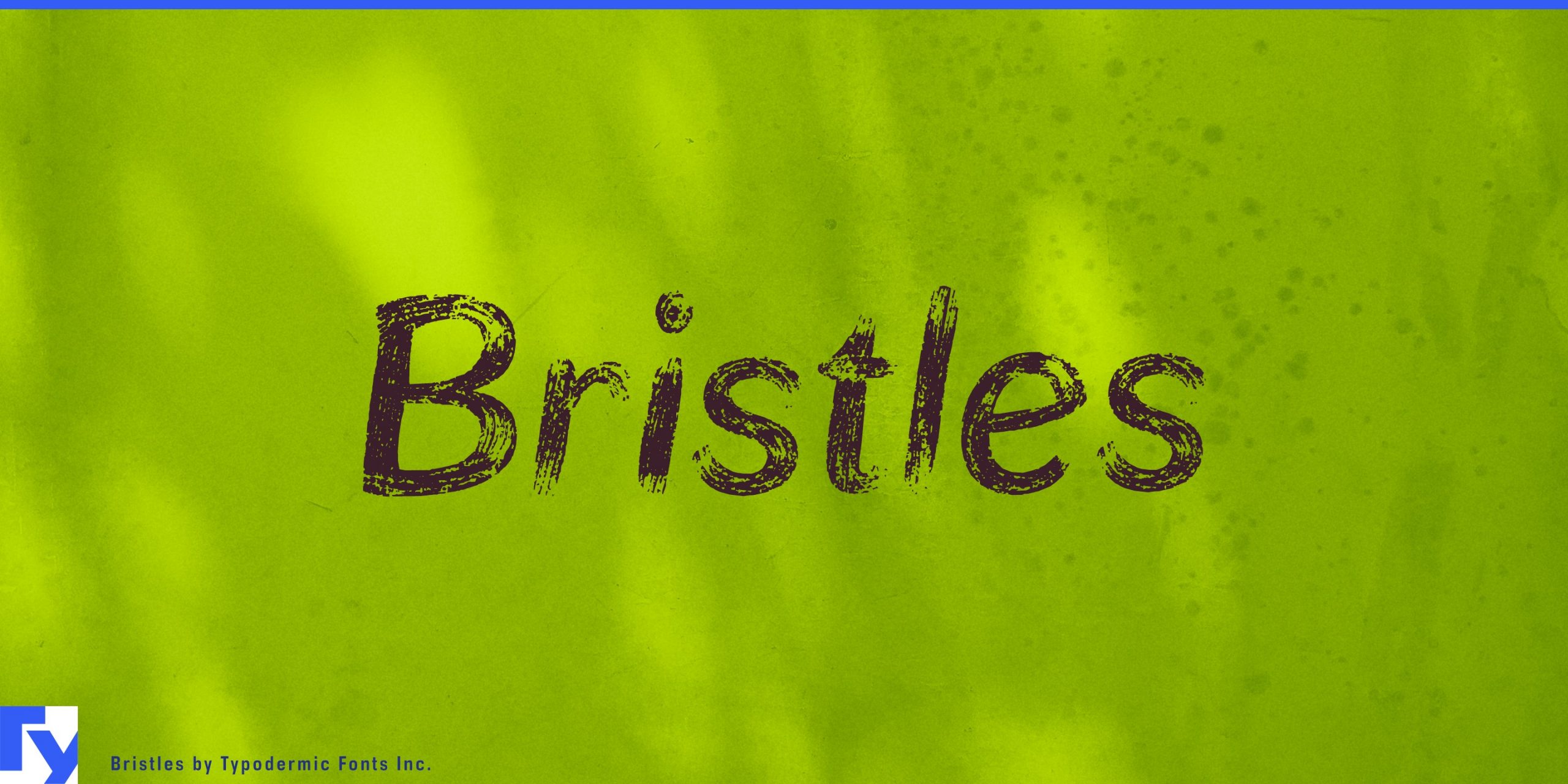 Sun-Bleached Brushstrokes: Discover the Beauty of Bristles Font