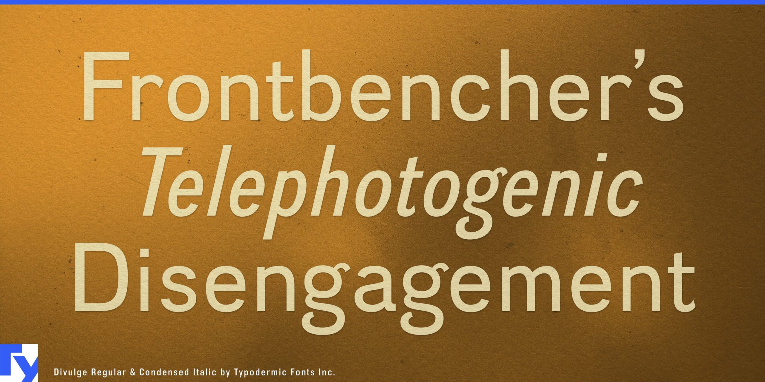 Weighted Elegance: Explore the Versatility of Divulge Typeface