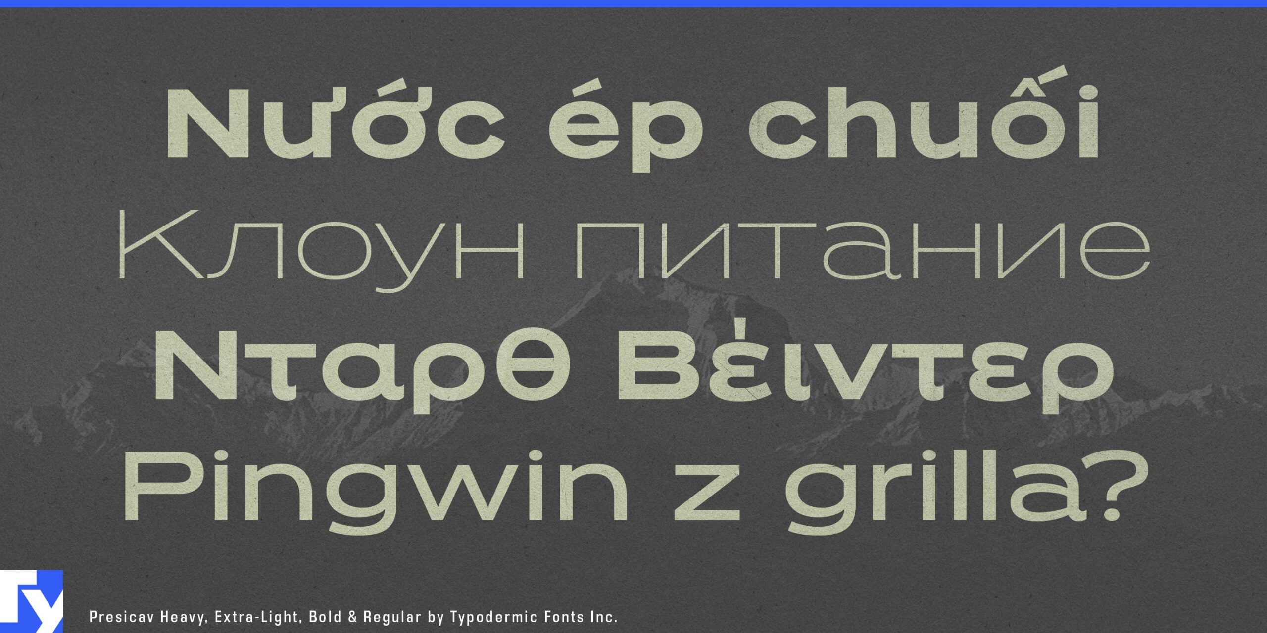 Enigmatic Finish: Unleashing the Intrigue of Presicav Font