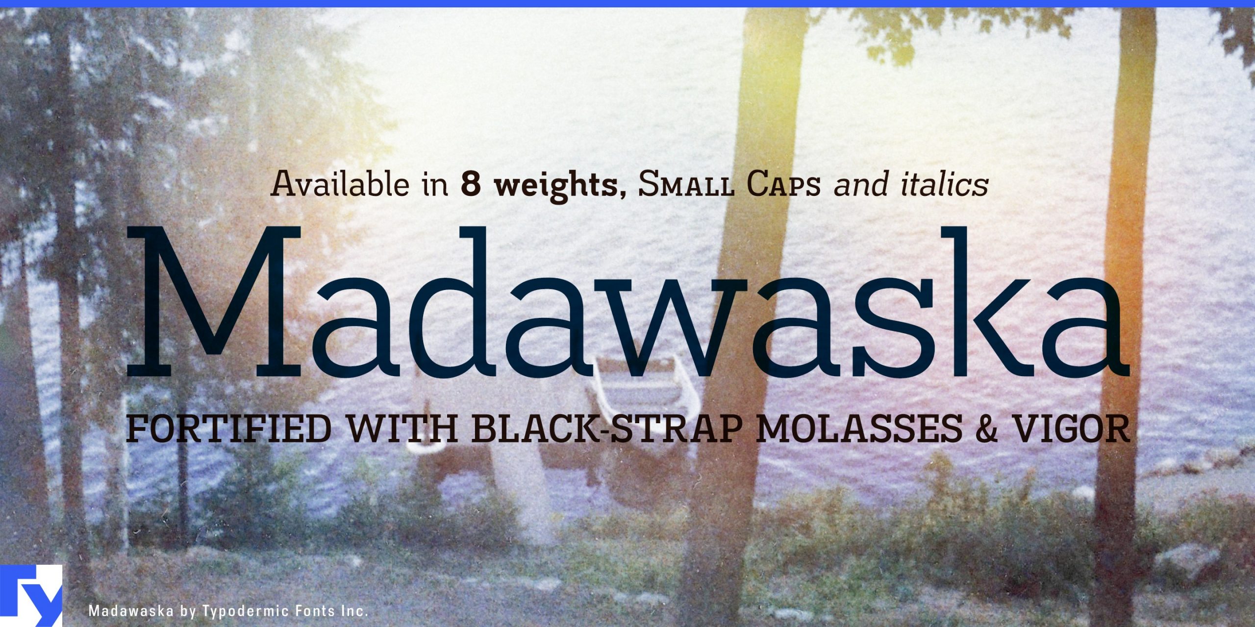Versatile and Impactful: Madawaska Typeface Weights and Italics