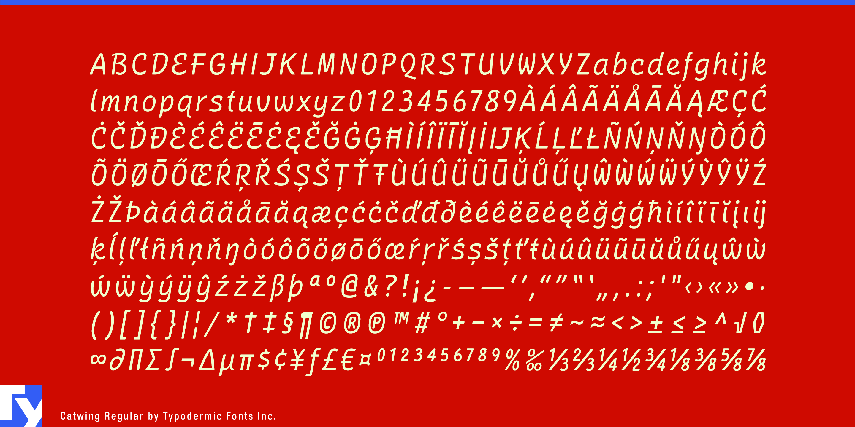 Sleek Lines, Timeless Appeal: Catwing Typeface Takes the Stage