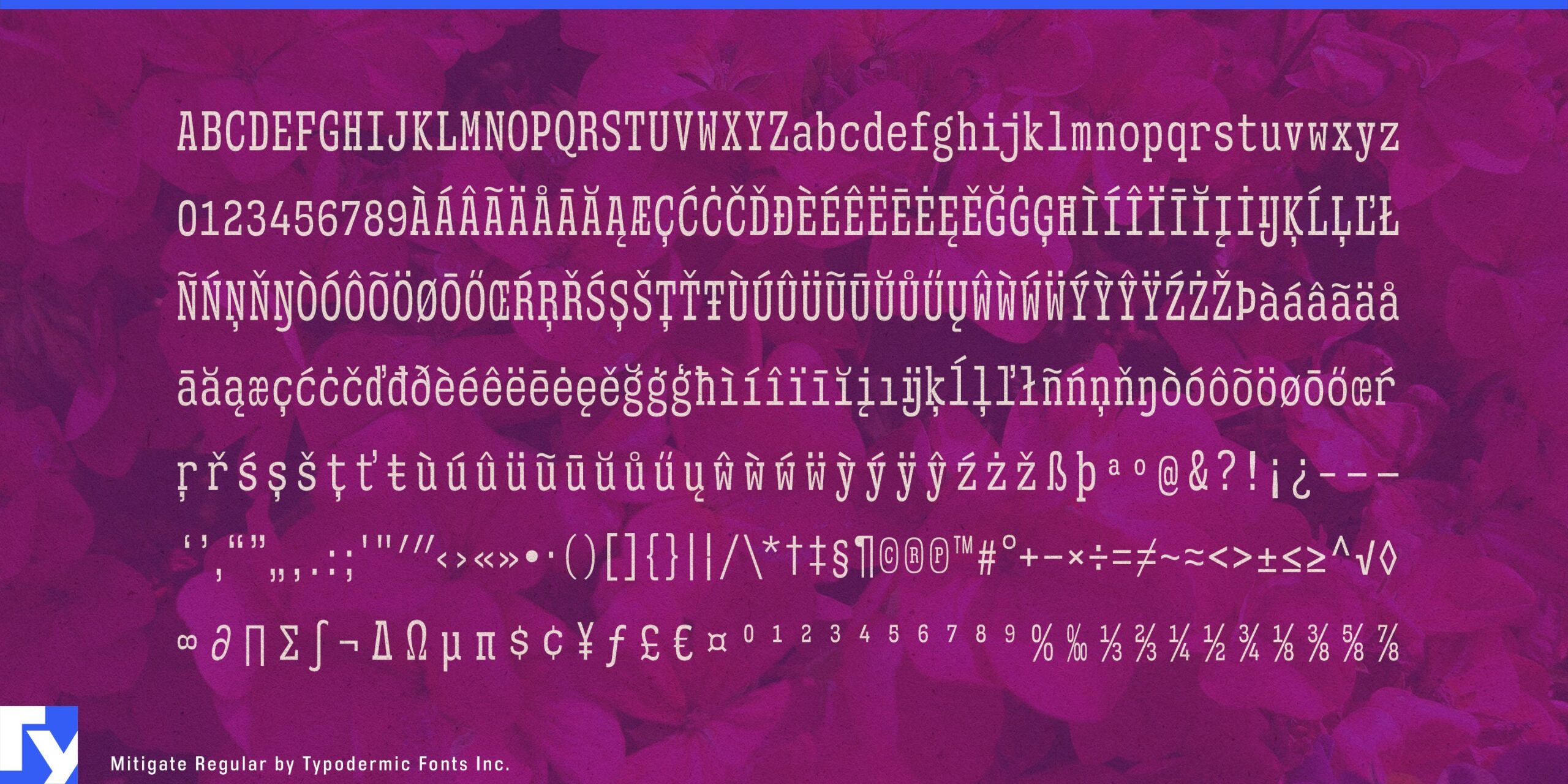 Stand Out from the Crowd with Mitigate: The Typeface for Attention-Grabbing Text