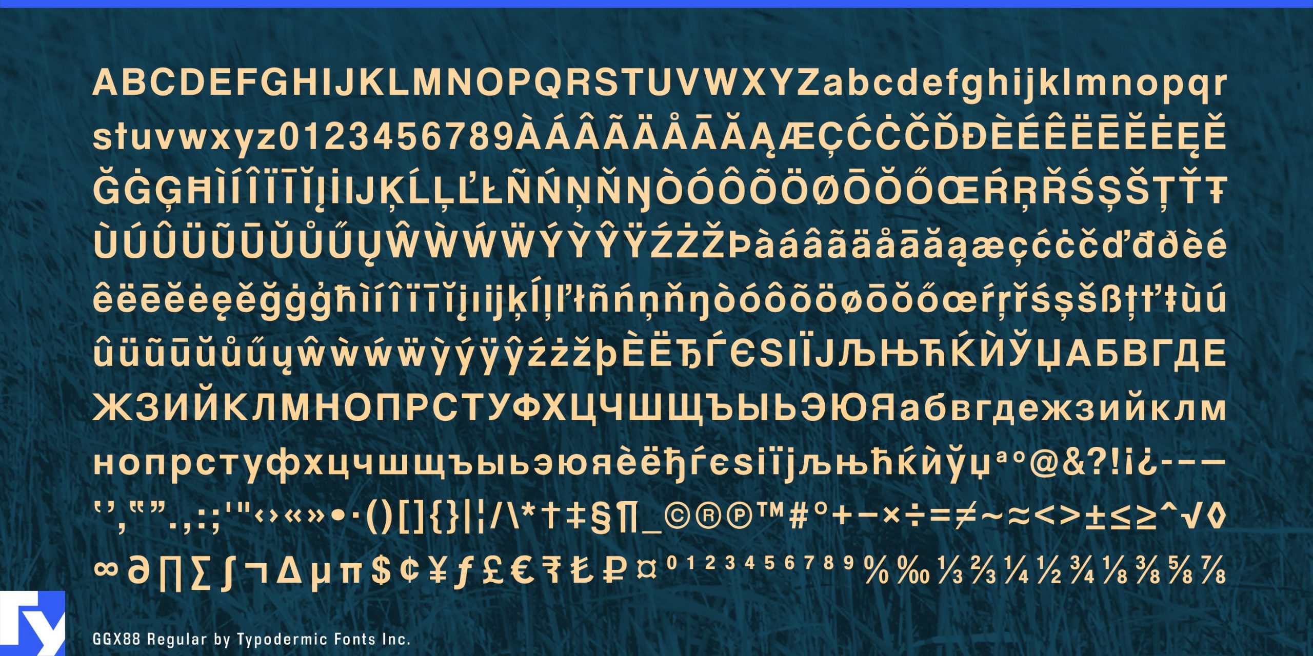 Dynamic Display: GGX88 Typeface Makes Headings Po