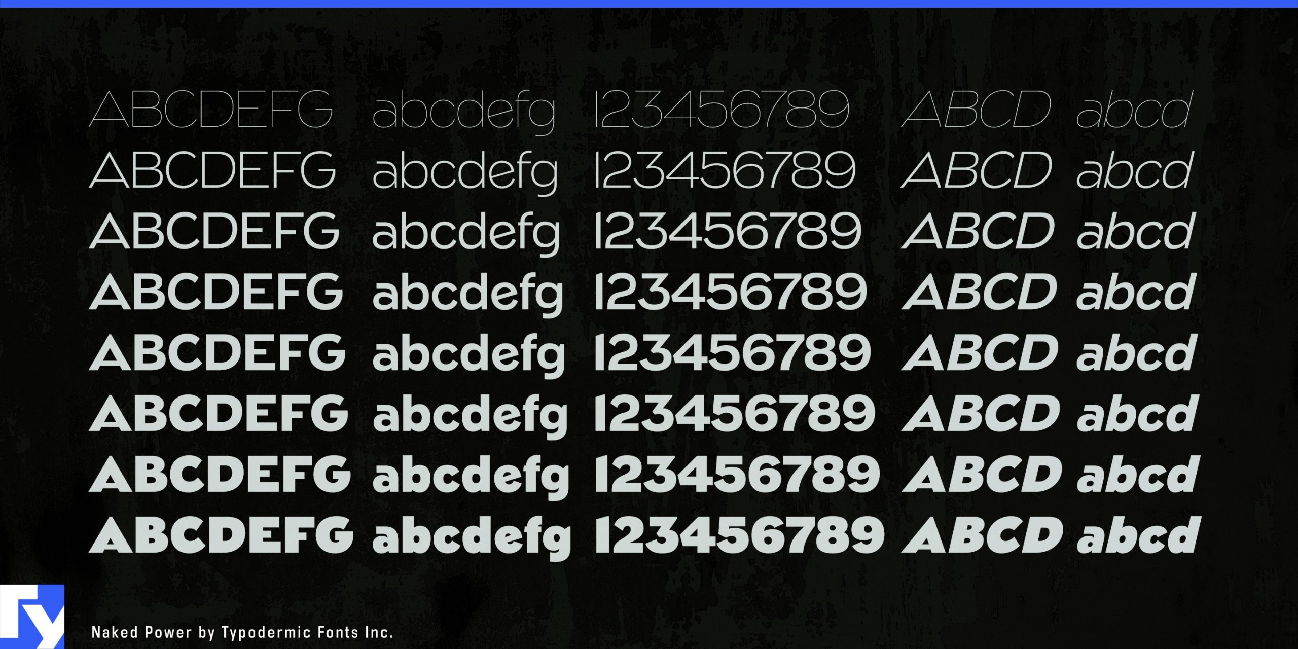 Versatility Personified: Explore the Eight Weights of Naked Power Typeface