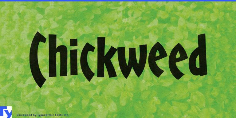 Let Chickweed Elevate Your Designs: Engaging and Memorable
