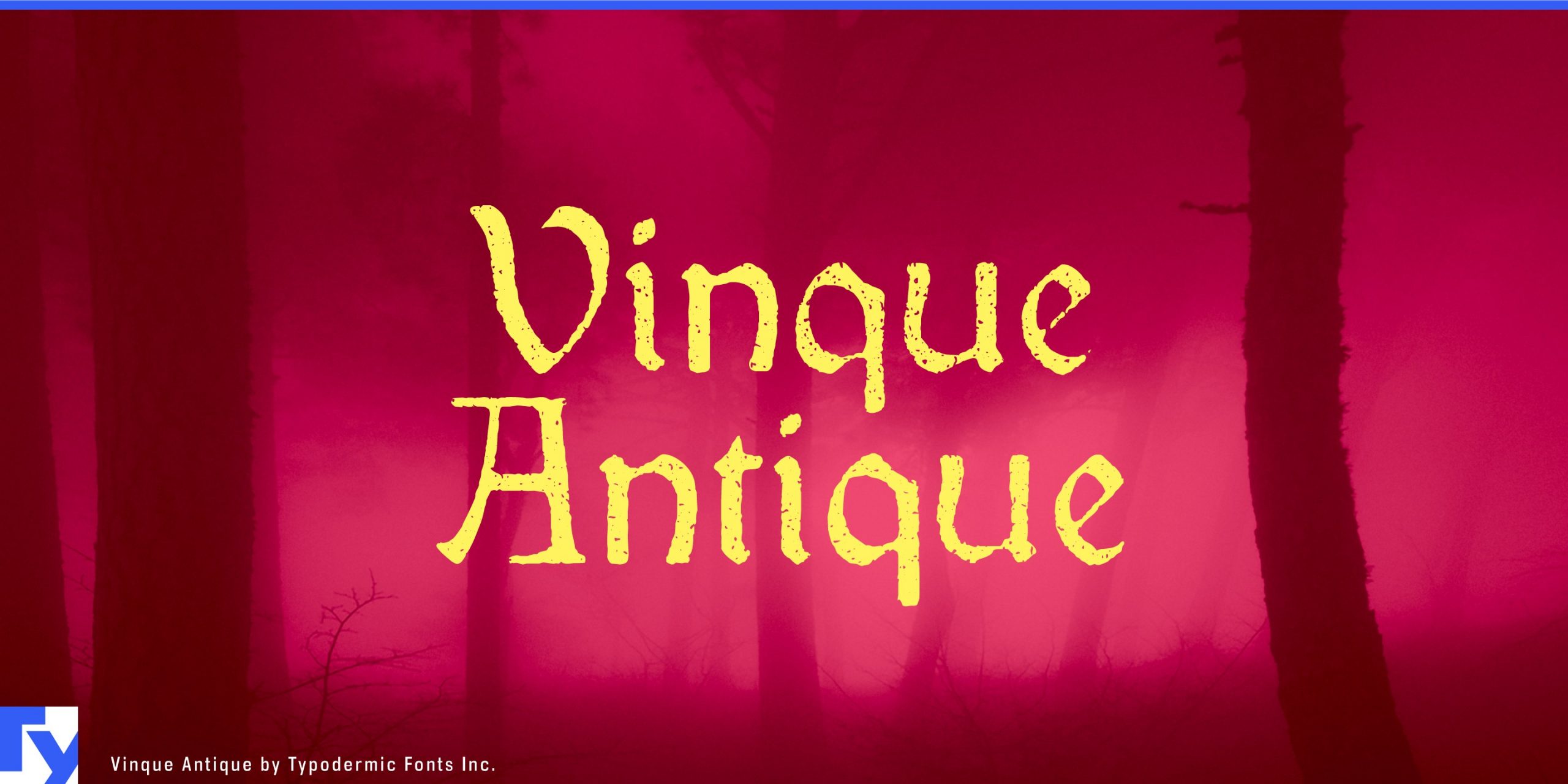 Nostalgic Beauty: Vinque Antique Typeface Captures a Bygone Era