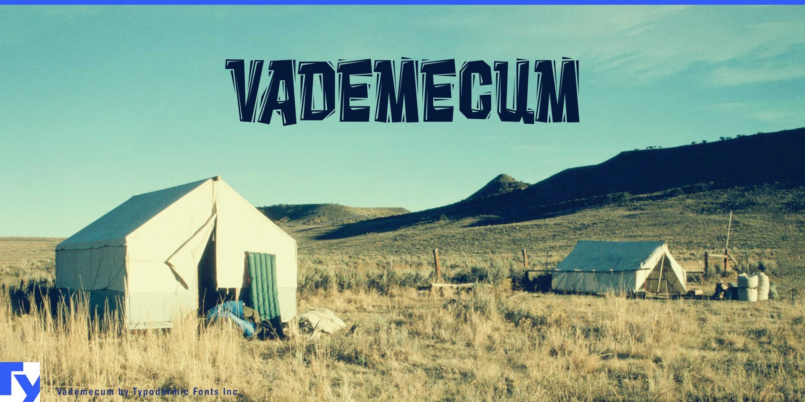 Trendy and Timeless: Vademecum Typeface's Linocut Impression.