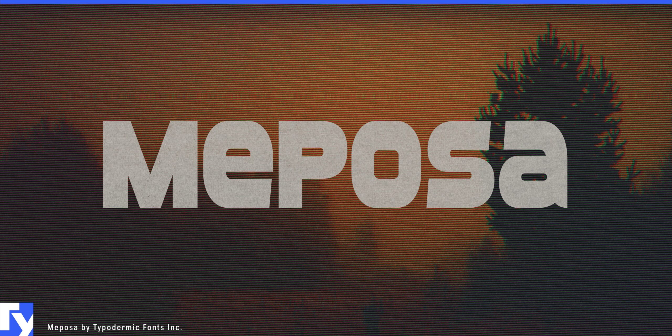 Meposa Typeface: Quirky, Tough, and Unforgettable