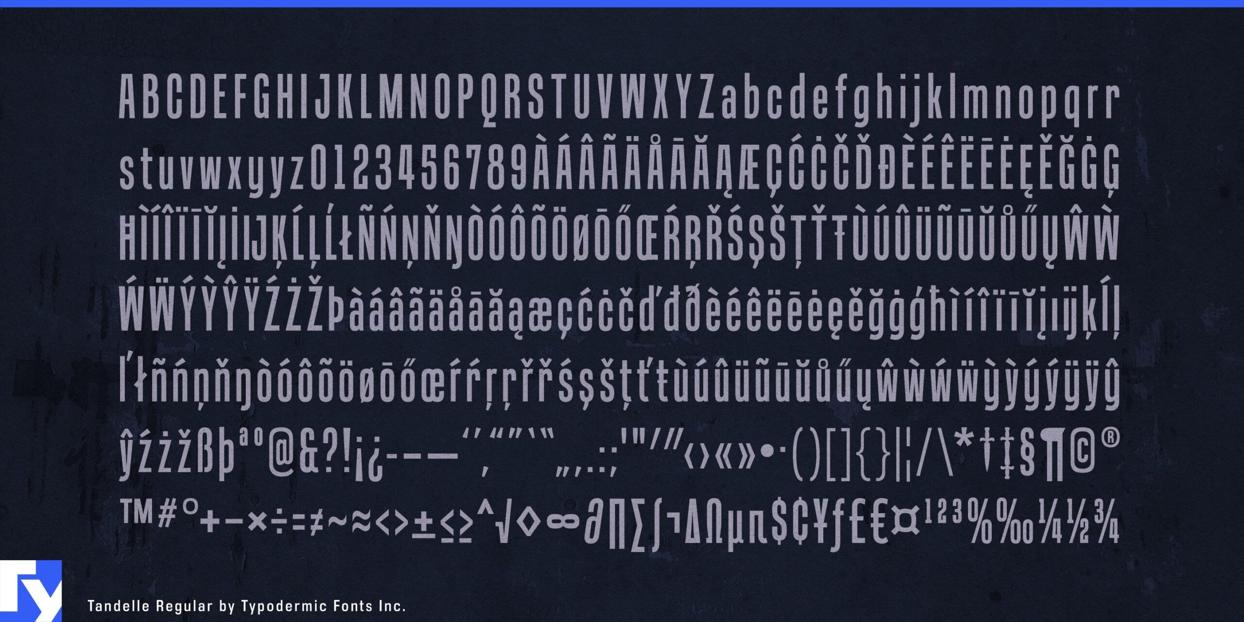 Discover the visually appealing narrow letterforms of Tandelle in action.