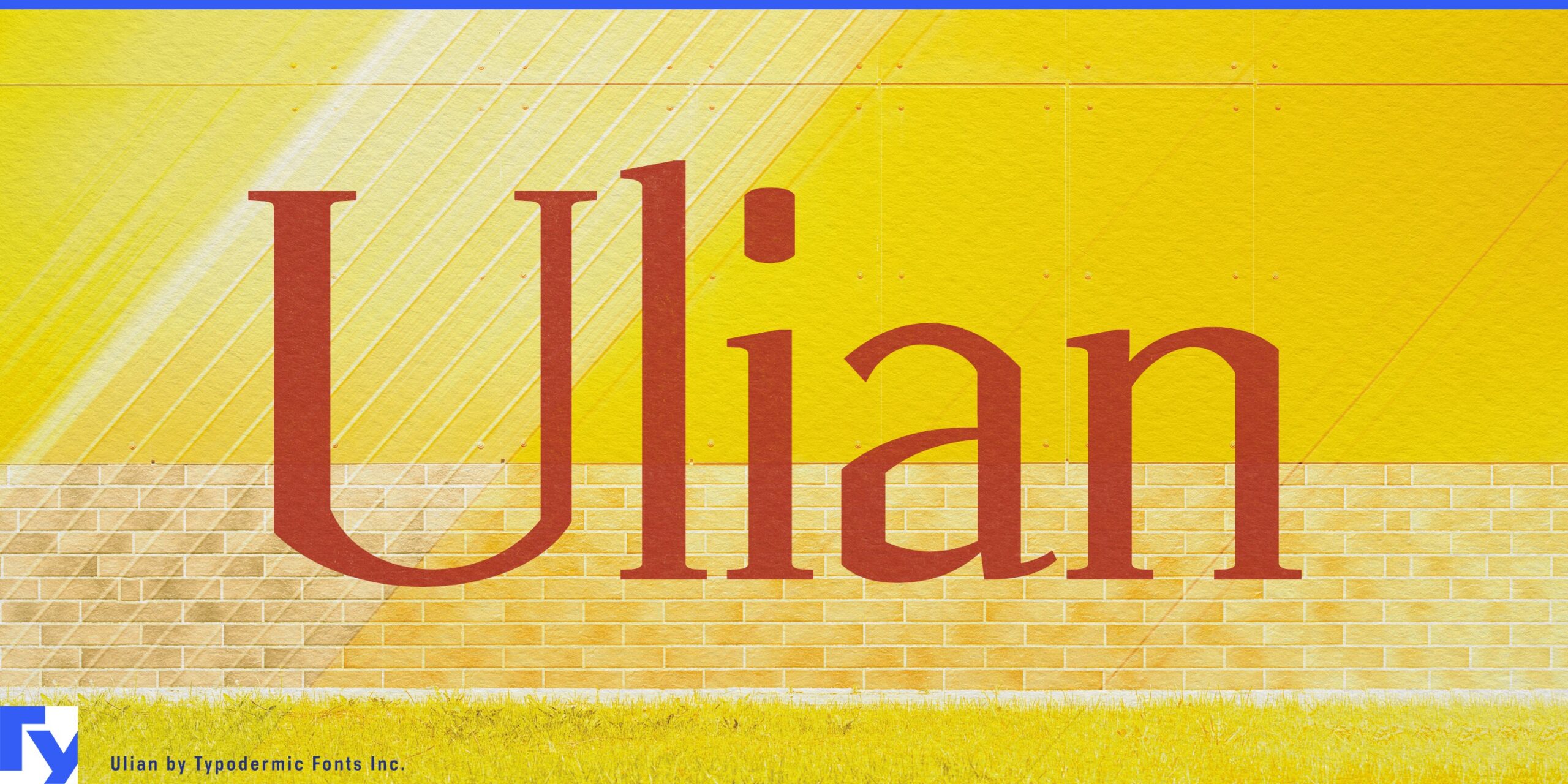 Elevate Your Design Game with Ulian: Unleash Its Unique Flair and Dauntless Spirit.