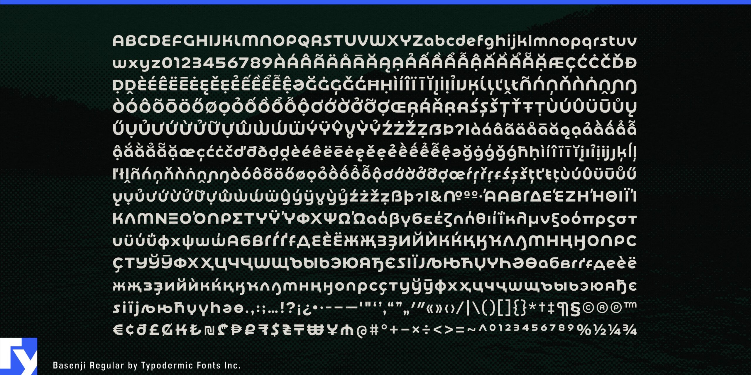 Basenji Typeface: Extensive Language Coverage for Retro Design Enthusiasts
