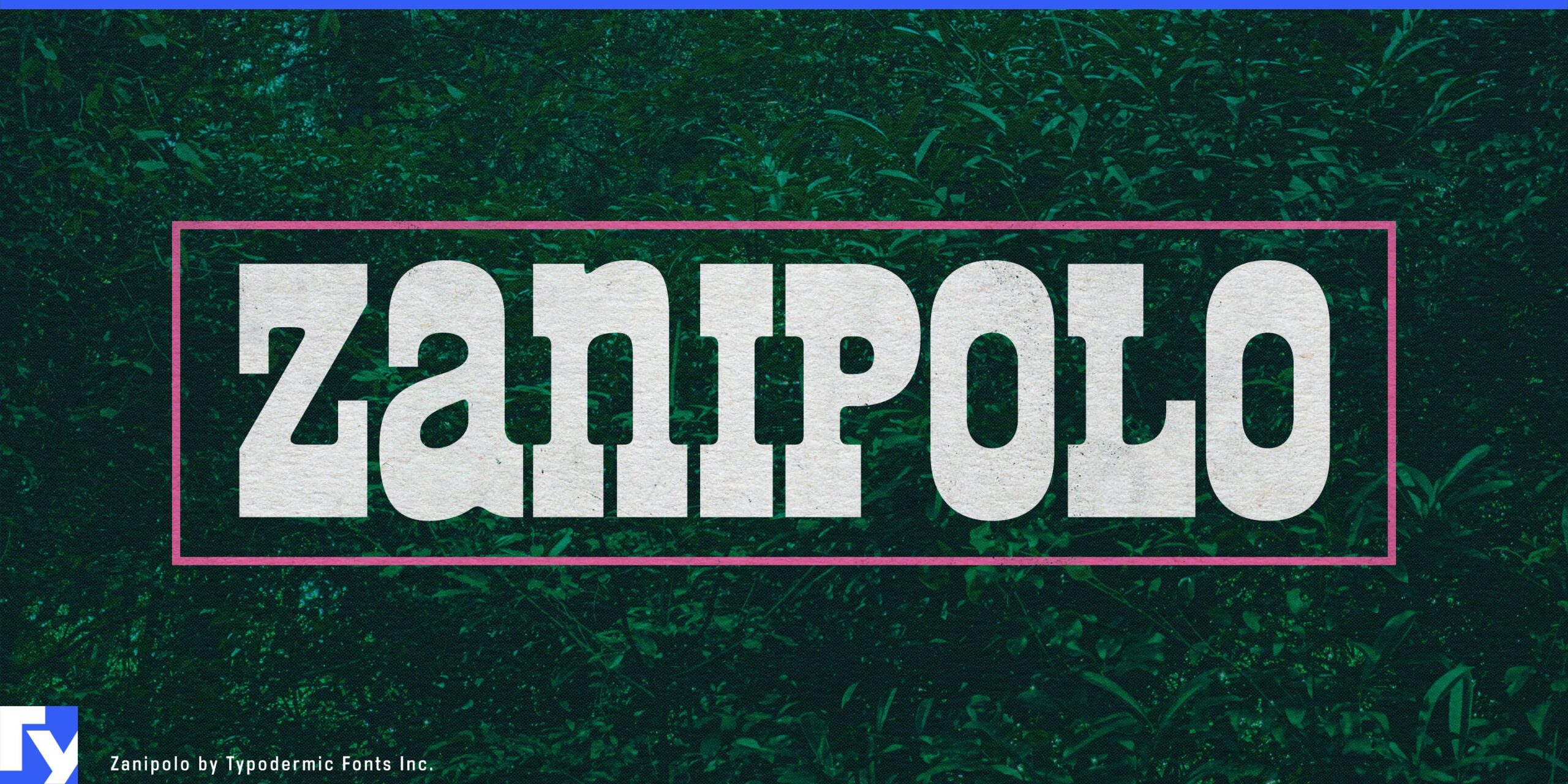 A sample of the Zanipolo typeface from Typodermic Fonts Inc.